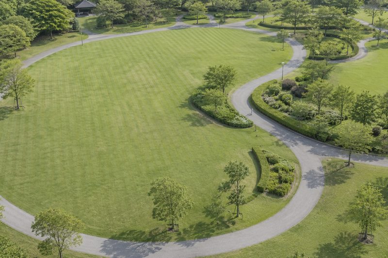 芝生の広場と園路が整備された公園の緑地